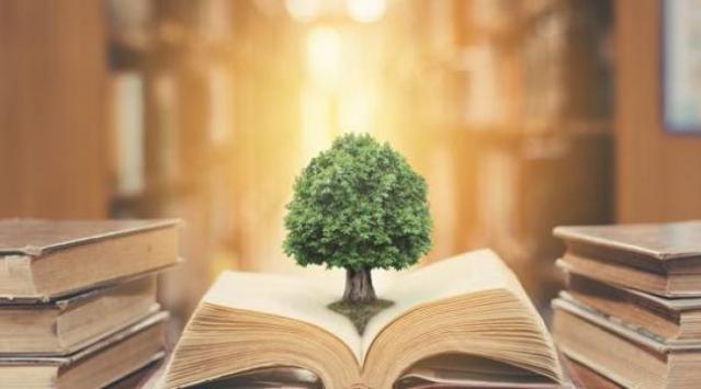 droit de l'environnement
